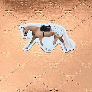 Blue Eyed Palomino Appaloosa Equestrian Cowboy CowGirl Single Decor Stic…